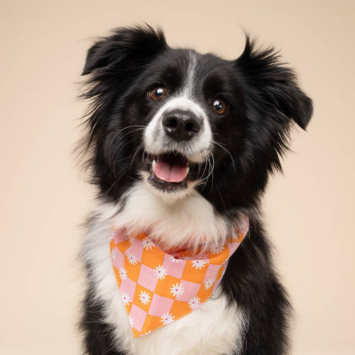 Bandana - oranje roze met bloemetjes