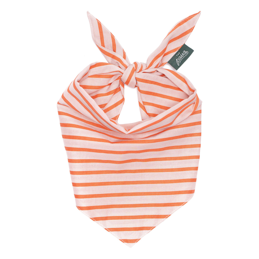 Bandana - roze gestreepte bandana