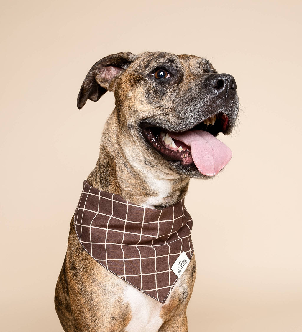 Bandana - bruin