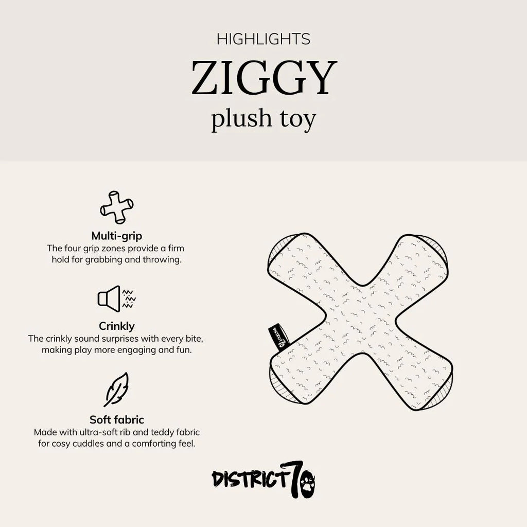 Ziggy - speeltje