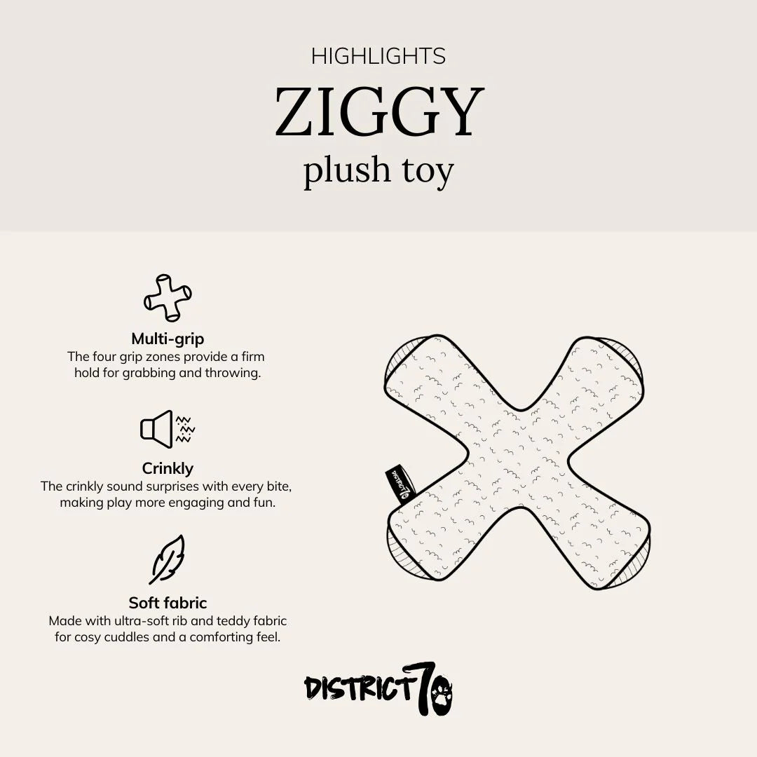 Ziggy - speeltje