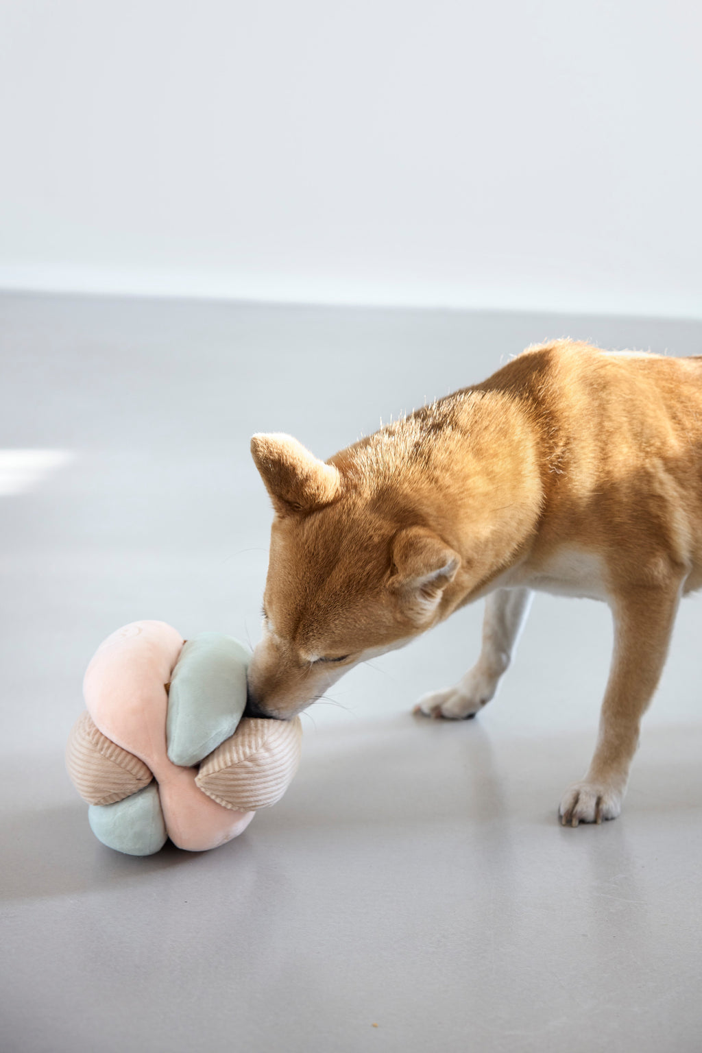 Palopa - Sniffing Ball Brino