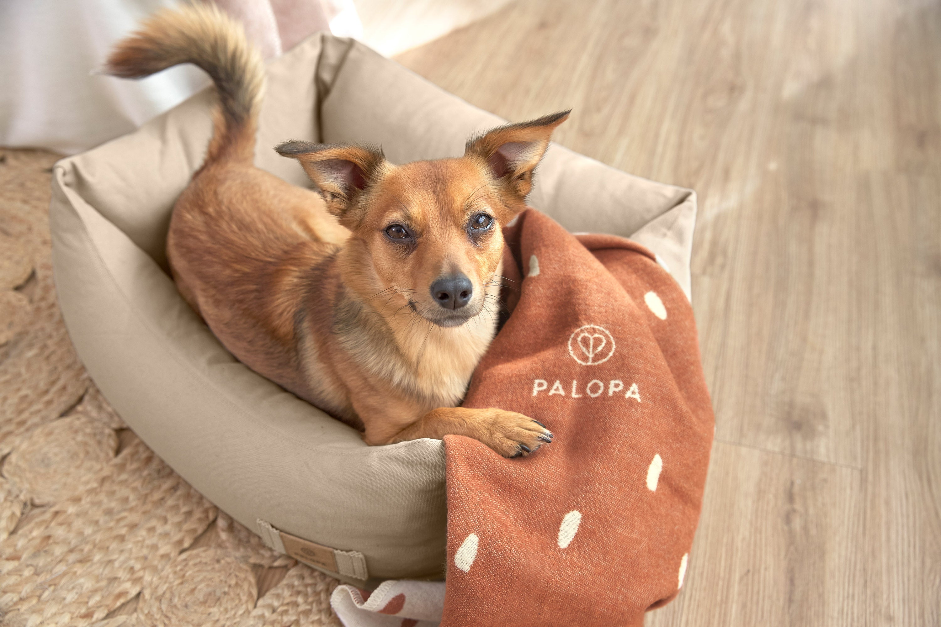 Palopa hondendeken Ida dots stippen cinnamon milky bruin beige