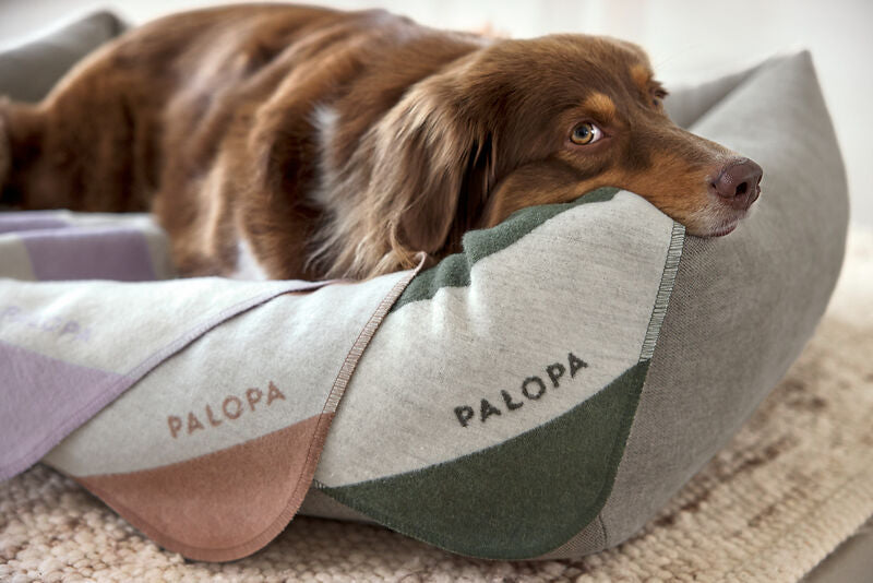 Palopa hondendeken Ida gestreept