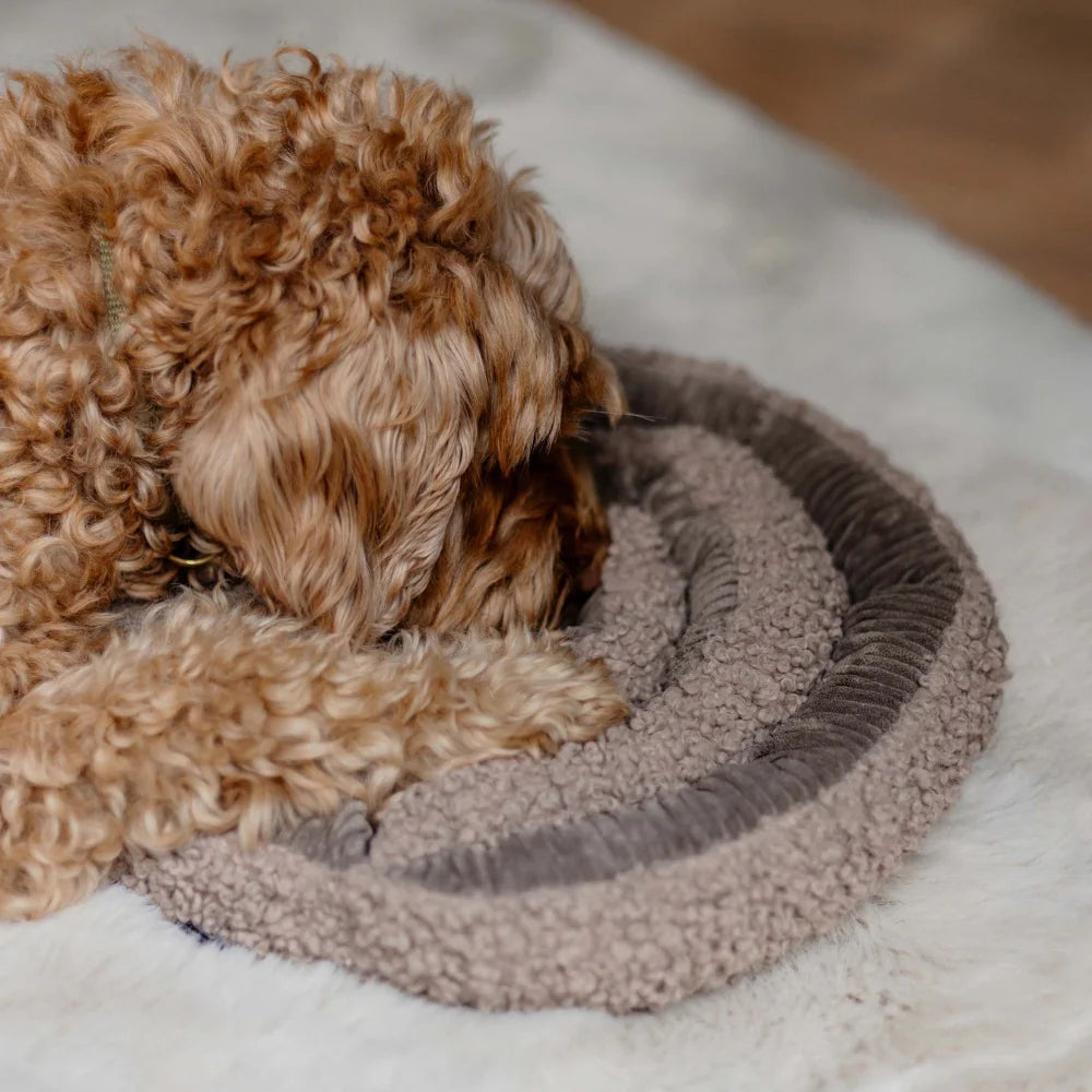 Swirl - snuffelspeeltje