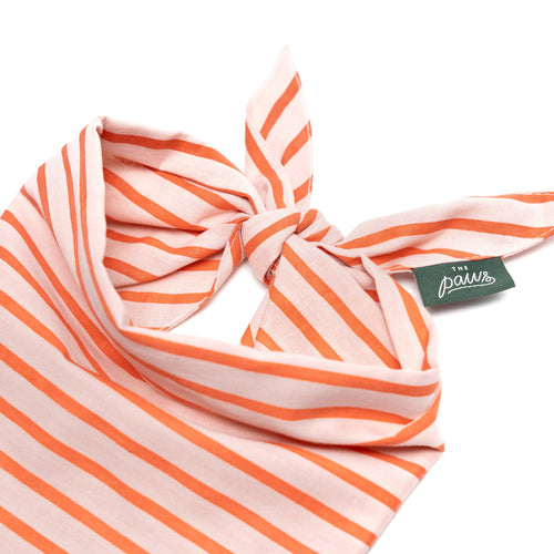 Bandana - roze gestreepte bandana