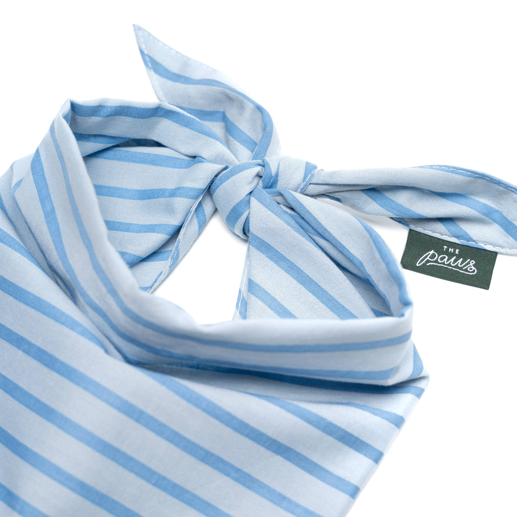 Bandana - blauw gestreept