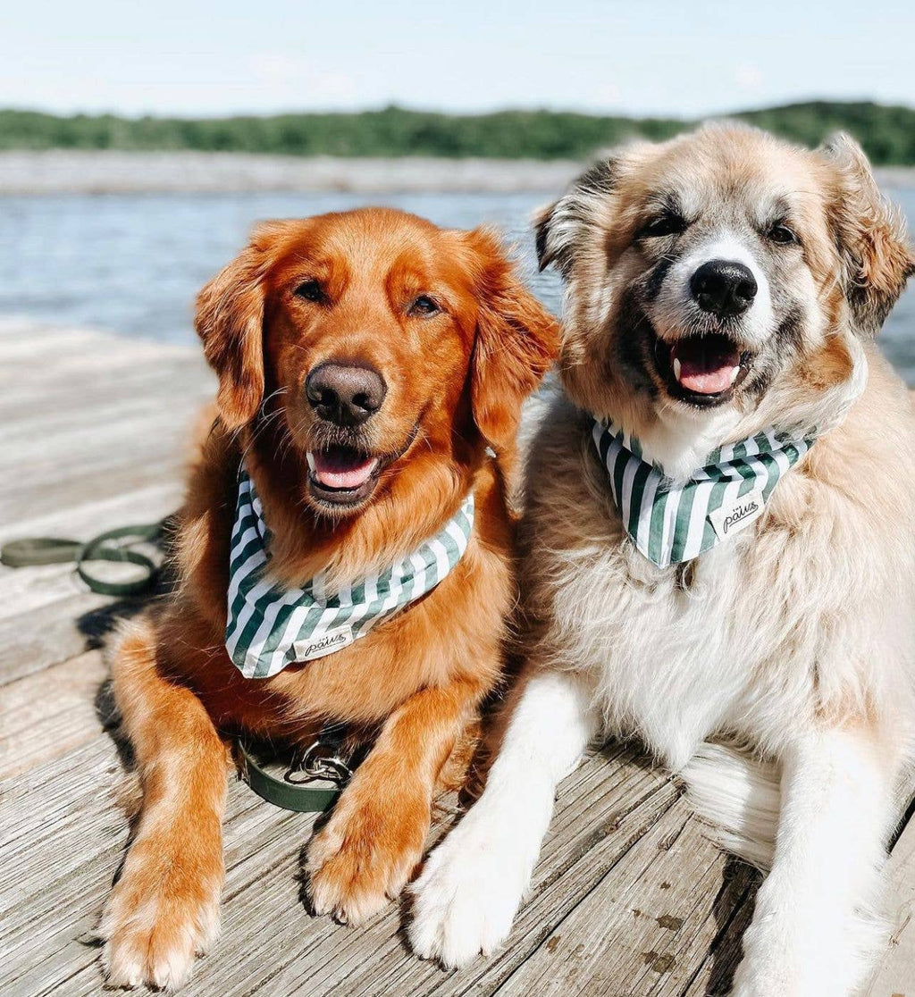 Bandana - groen gestreept